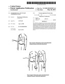 INTERFERENTIAL NON INVASIV TEMPORARY PACER diagram and image