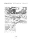 METHOD FOR PRODUCING NANOSTRUCTURES ON A SURFACE OF A MEDICAL IMPLANT diagram and image