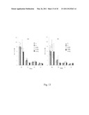 METHOD FOR PRODUCING NANOSTRUCTURES ON A SURFACE OF A MEDICAL IMPLANT diagram and image