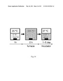 METHOD FOR PRODUCING NANOSTRUCTURES ON A SURFACE OF A MEDICAL IMPLANT diagram and image