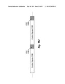 System and method for remote-hosted video effects diagram and image