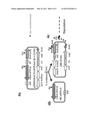 Circular Nucleic Acid Vectors, and Methods for Making and Using the Same diagram and image