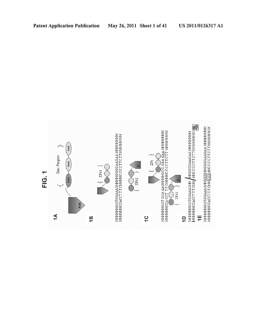 PLANT VIRAL EXPRESSION VECTORS AND USE OF SAME FOR GENERATING GENOTYPIC VARIATIONS IN PLANT GENOMES - diagram, schematic, and image 02