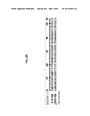 PLANT VIRAL EXPRESSION VECTORS AND USE OF SAME FOR GENERATING GENOTYPIC VARIATIONS IN PLANT GENOMES diagram and image