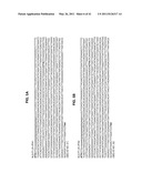 PLANT VIRAL EXPRESSION VECTORS AND USE OF SAME FOR GENERATING GENOTYPIC VARIATIONS IN PLANT GENOMES diagram and image