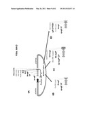 PLANT VIRAL EXPRESSION VECTORS AND USE OF SAME FOR GENERATING GENOTYPIC VARIATIONS IN PLANT GENOMES diagram and image