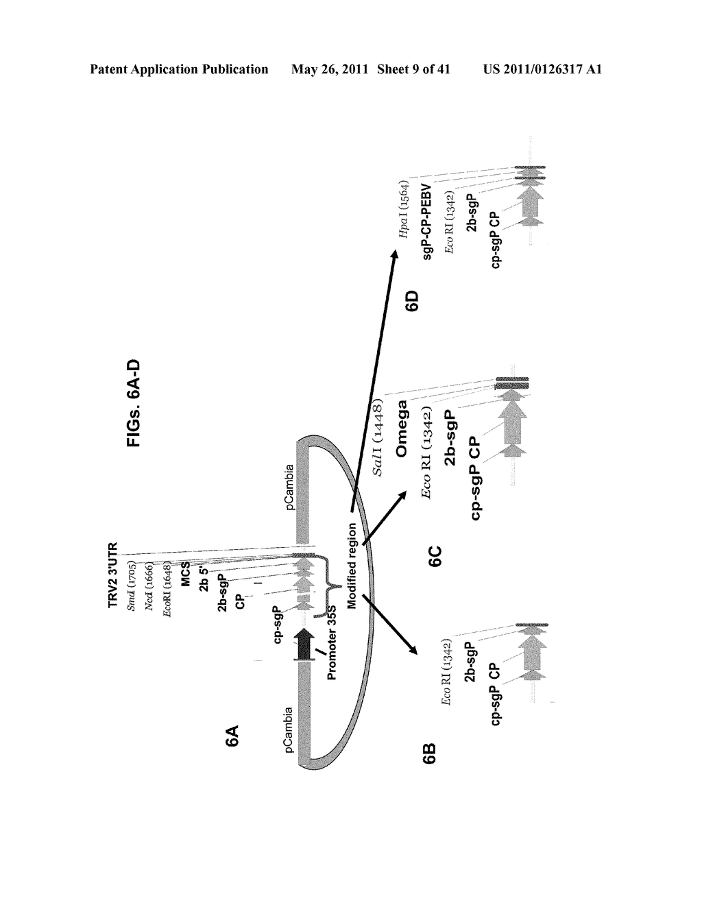 PLANT VIRAL EXPRESSION VECTORS AND USE OF SAME FOR GENERATING GENOTYPIC VARIATIONS IN PLANT GENOMES - diagram, schematic, and image 10