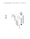 PLANT VIRAL EXPRESSION VECTORS AND USE OF SAME FOR GENERATING GENOTYPIC VARIATIONS IN PLANT GENOMES diagram and image