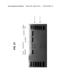 PLANT VIRAL EXPRESSION VECTORS AND USE OF SAME FOR GENERATING GENOTYPIC VARIATIONS IN PLANT GENOMES diagram and image