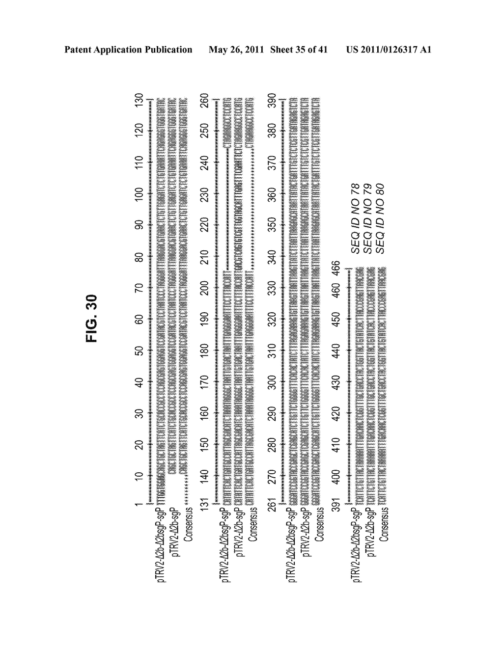 PLANT VIRAL EXPRESSION VECTORS AND USE OF SAME FOR GENERATING GENOTYPIC VARIATIONS IN PLANT GENOMES - diagram, schematic, and image 36