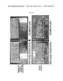 METHOD FOR PRODUCING CARRIER ON WHICH MICROORGANISMS CAPABLE OF CONDUCTING     MULTIPLE PARALLEL MINERALIZATION ARE IMMOBILIZED, COLUMN REACTOR AND     SOLID MEDIUM FOR CULTIVATING PLANTS diagram and image