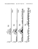 Mass Spectrometer diagram and image