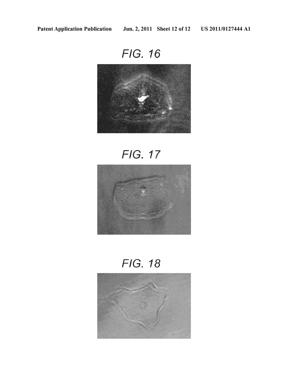 PARTICLE ANALYZING APPARATUS AND PARTICLE IMAGING METHOD - diagram, schematic, and image 13