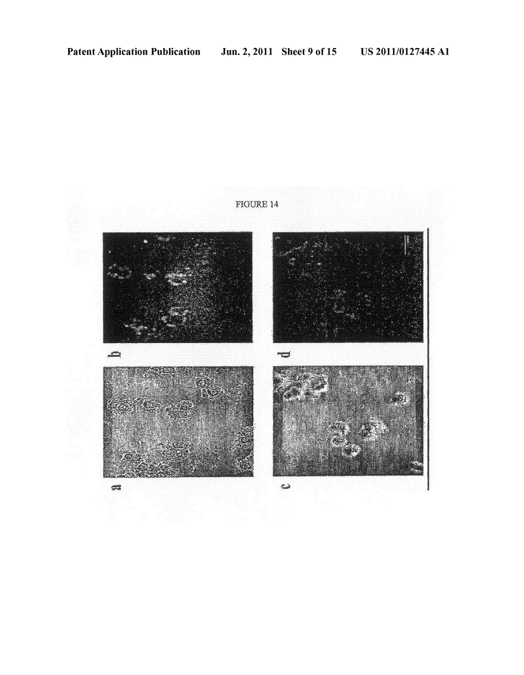 UPCONVERSION FLUORESCENT NANO-STRUCTURED MATERIAL AND USES THEREOF - diagram, schematic, and image 10