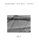 CARBON NANOTUBE ASSEMBLY AND ELECTRICALLY CONDUCTIVE FILM diagram and image