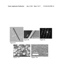 Method of Growing Uniform Semiconductor Nanowires without Foreign Metal     Catalyst and Devices Thereof diagram and image