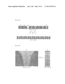 BIOCHIP DETECTION SYSTEM WITH IMAGE CORRECTION UNIT AND DISTORTED IMAGE     CORRECTING METHOD USING THE SAME diagram and image