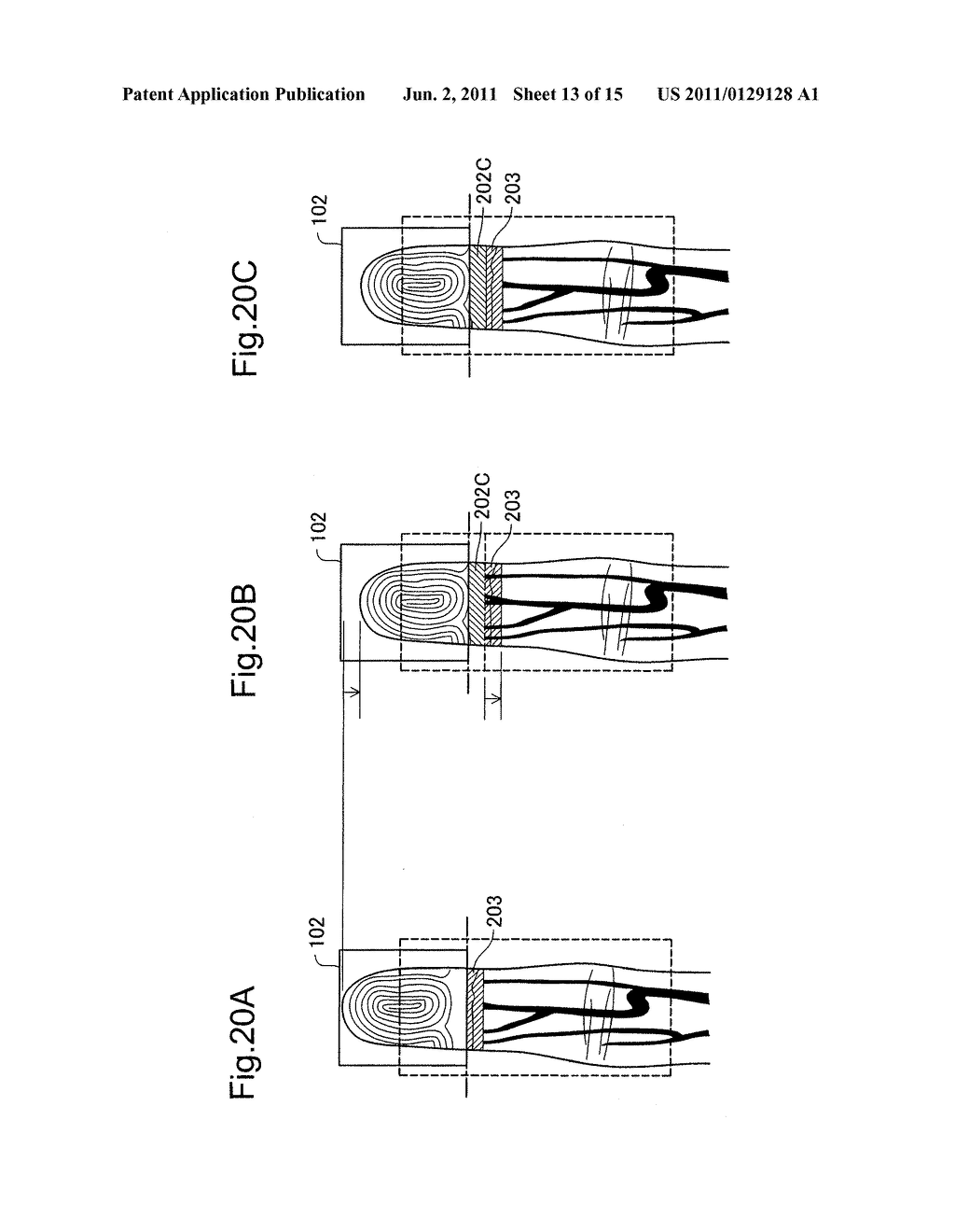 BIOMETRIC AUTHENTICATION APPARATUS AND BIOMETRIC AUTHENTICATION METHOD - diagram, schematic, and image 14