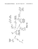 Bioconjugation of Calcium Phosphosilicate Nanoparticles For Selective     Targeting of Cells In Vivo diagram and image