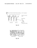 Brain Tumor Targeting Peptides and Methods diagram and image