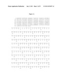 VARIANT HHIP1 PROTEIN AND METHODS AND USES THEREOF diagram and image