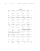 VARIANT HHIP1 PROTEIN AND METHODS AND USES THEREOF diagram and image