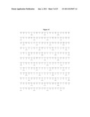 VARIANT HHIP1 PROTEIN AND METHODS AND USES THEREOF diagram and image