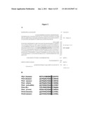 VARIANT HHIP1 PROTEIN AND METHODS AND USES THEREOF diagram and image