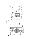 VARIANT HHIP1 PROTEIN AND METHODS AND USES THEREOF diagram and image