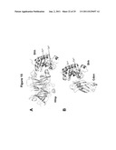 VARIANT HHIP1 PROTEIN AND METHODS AND USES THEREOF diagram and image