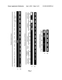 PHARMACEUTICAL COMPOSITION FOR TREATMENT AND PREVENTION OF CANCER diagram and image