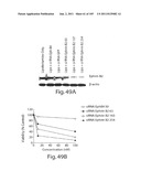 POLYPEPTIDE COMPOUNDS FOR INHIBITING ANGIOGENESIS AND TUMOR GROWTH diagram and image