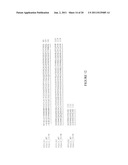 Modified Galectin-2 and Uses Thereof diagram and image