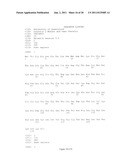 Modified Galectin-2 and Uses Thereof diagram and image