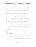 Modified Galectin-2 and Uses Thereof diagram and image