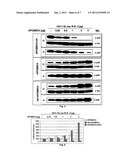 MODULATION OF PRODUCTION OF RETROVIRUSES BY APOBEC4 diagram and image