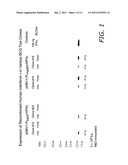 Immunostimulatory Recombinant Intracellular Pathogen Immunogenic     Compositions and Methods of Use diagram and image