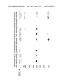 Immunostimulatory Recombinant Intracellular Pathogen Immunogenic     Compositions and Methods of Use diagram and image