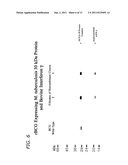 Immunostimulatory Recombinant Intracellular Pathogen Immunogenic     Compositions and Methods of Use diagram and image