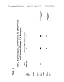 Immunostimulatory Recombinant Intracellular Pathogen Immunogenic     Compositions and Methods of Use diagram and image