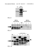 Immunostimulatory Recombinant Intracellular Pathogen Immunogenic     Compositions and Methods of Use diagram and image