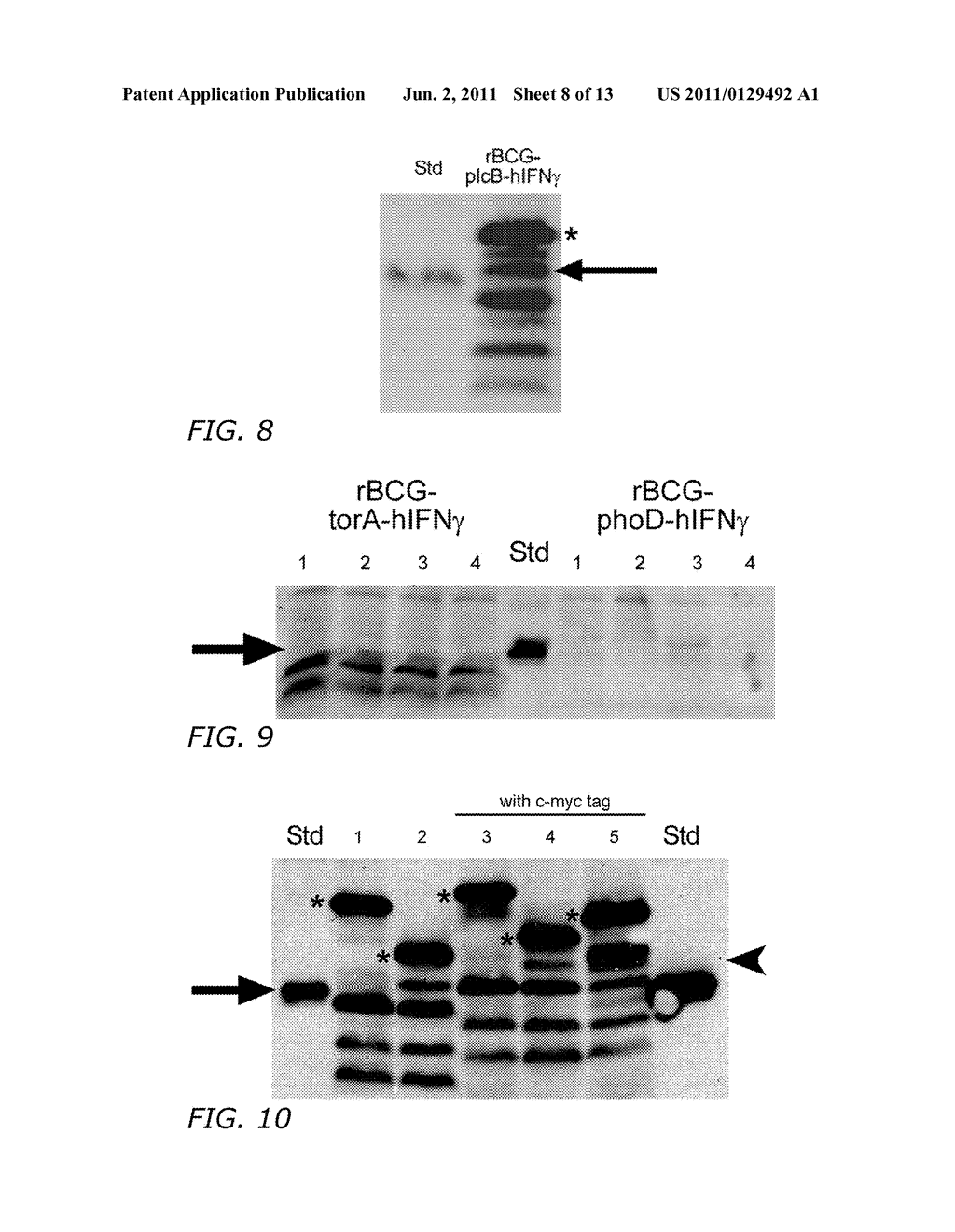 Immunostimulatory Recombinant Intracellular Pathogen Immunogenic     Compositions and Methods of Use - diagram, schematic, and image 09