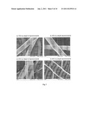 FIBROUS SURFACE STRUCTURE CONTAINING ACTIVE INGREDIENTS WITH CONTROLLED     RELEASE OF ACTIVE INGREDIENTS, USE THEREOF AND METHOD FOR THE PRODUCTION     THEREOF diagram and image