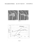 FIBROUS SURFACE STRUCTURE CONTAINING ACTIVE INGREDIENTS WITH CONTROLLED     RELEASE OF ACTIVE INGREDIENTS, USE THEREOF AND METHOD FOR THE PRODUCTION     THEREOF diagram and image