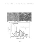 FIBROUS SURFACE STRUCTURE CONTAINING ACTIVE INGREDIENTS WITH CONTROLLED     RELEASE OF ACTIVE INGREDIENTS, USE THEREOF AND METHOD FOR THE PRODUCTION     THEREOF diagram and image