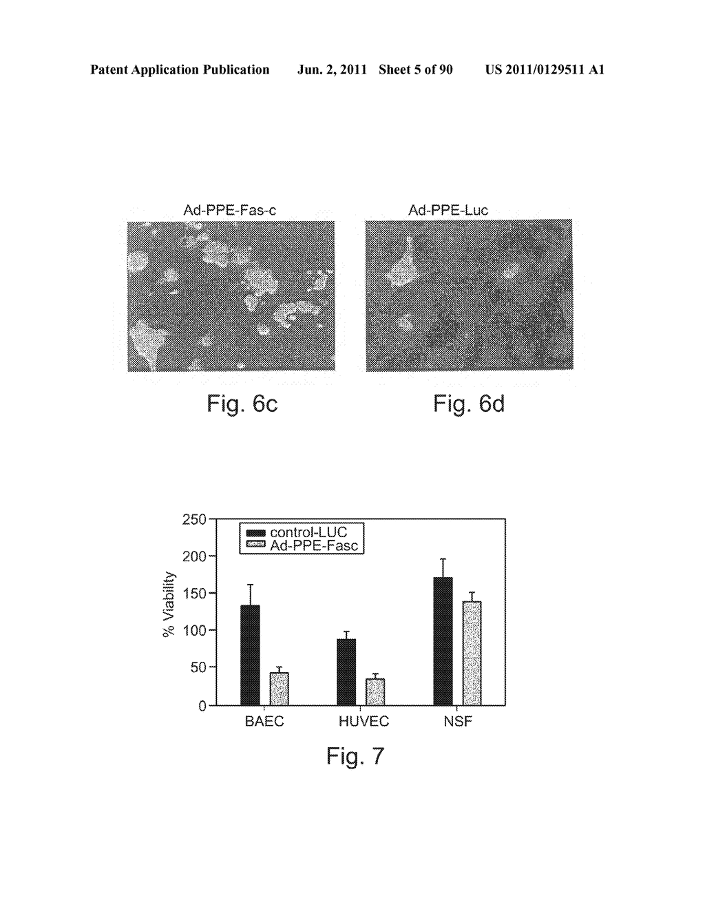 PROMOTERS EXHIBITING ENDOTHELIAL CELL SPECIFICITY AND METHODS OF USING     SAME FOR REGULATION OF ANGIOGENESIS - diagram, schematic, and image 06