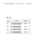 DECORATING HYDROXYAPATITE BIOMATERIALS WITH MODULAR BIOLOGICALLY ACTIVE     MOLECULES diagram and image