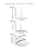 DECORATING HYDROXYAPATITE BIOMATERIALS WITH MODULAR BIOLOGICALLY ACTIVE     MOLECULES diagram and image