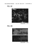 DECORATING HYDROXYAPATITE BIOMATERIALS WITH MODULAR BIOLOGICALLY ACTIVE     MOLECULES diagram and image