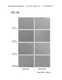 DECORATING HYDROXYAPATITE BIOMATERIALS WITH MODULAR BIOLOGICALLY ACTIVE     MOLECULES diagram and image